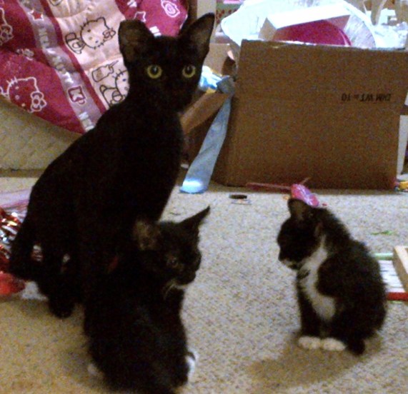 Mommy and Two 073113