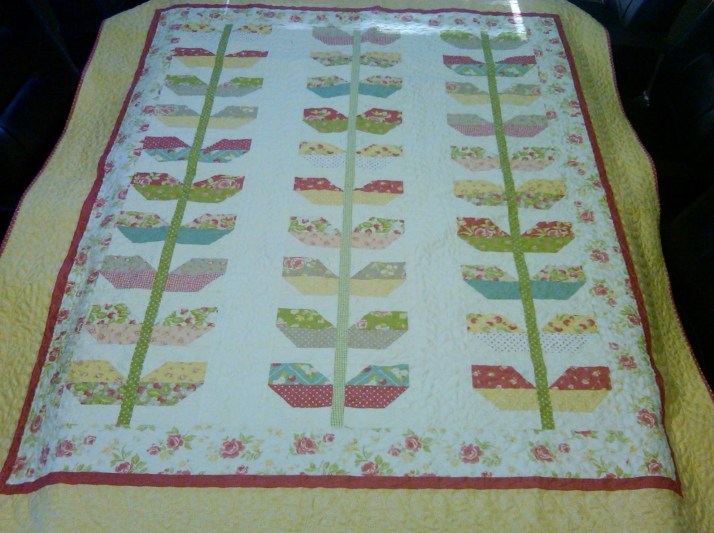 IMG00928-20111207-1209